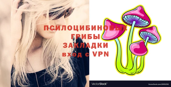 Альфа ПВП Абаза