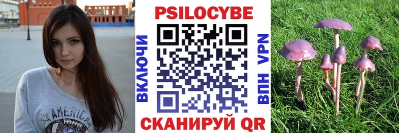 гидра ТОР Дубовка Псилоцибиновые грибы мицелий
